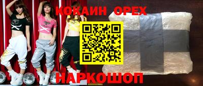 крисы Кулебаки