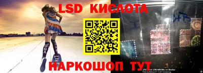 крисы Кулебаки