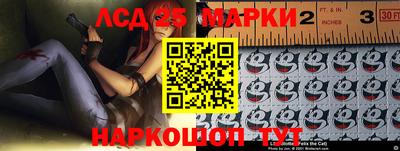 крисы Кулебаки