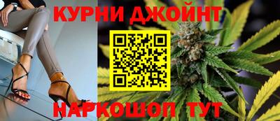 крисы Кулебаки