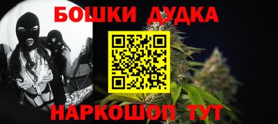 крисы Кулебаки