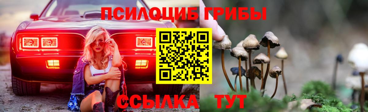 Галлюциногенные грибы прущие грибы Камышлов